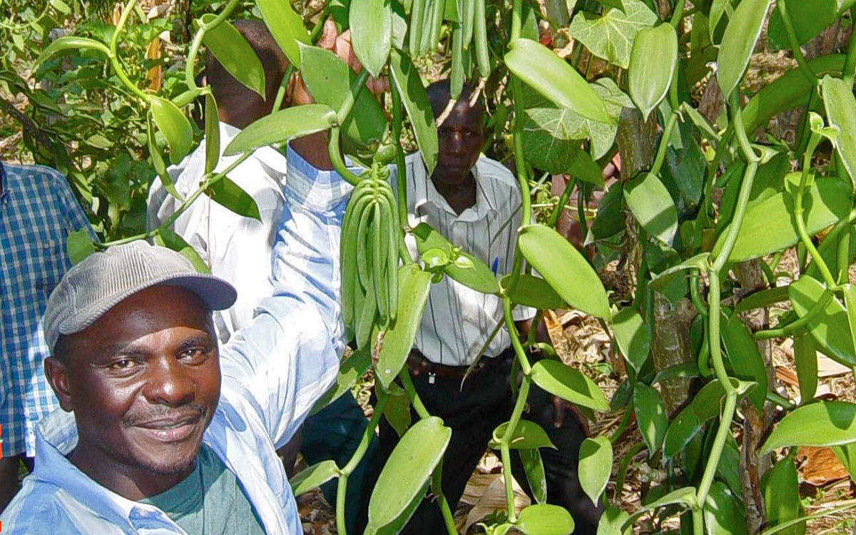 Volt Terra Farming PREO