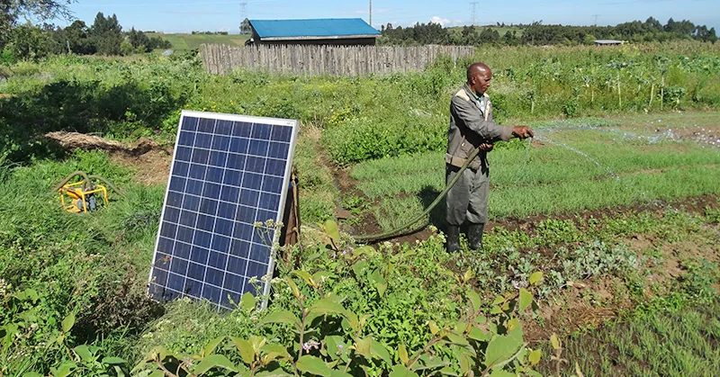 PREO Fourth Round Africa Open Call Announcement.