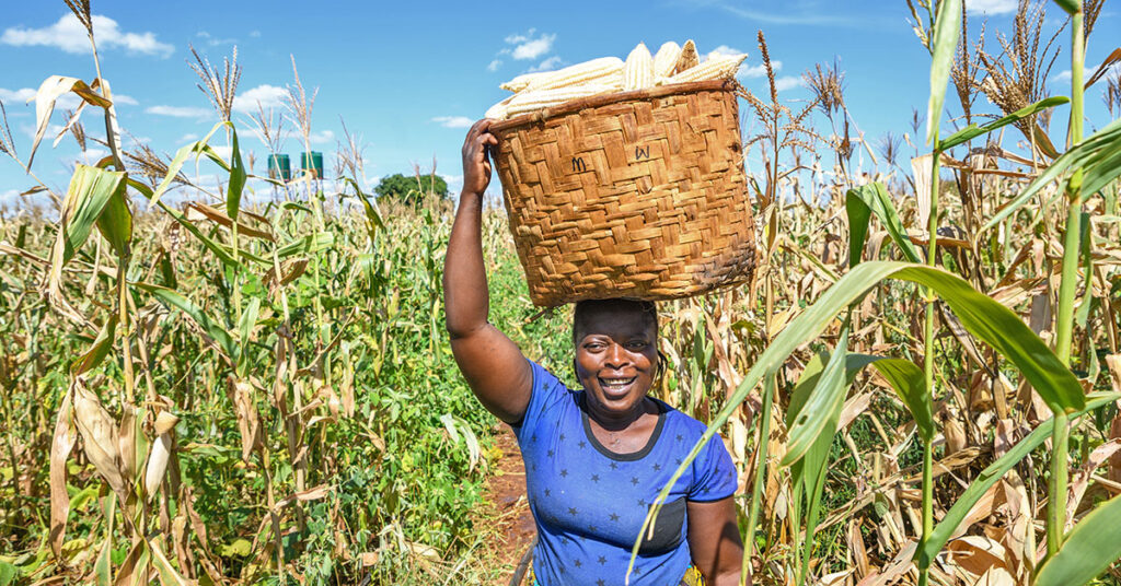 Cultivating Opportunities in-Africa- Powering agricultural productivity through Renewable Energy-Integration
